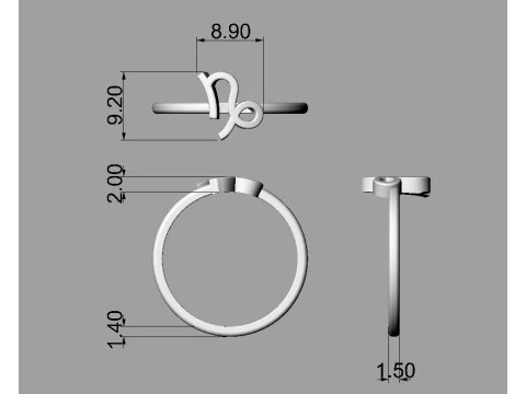 12 Zodiac Rings - Full Set 3D Print Model