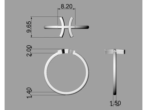 12 Zodiac Rings - Full Set 3D Print Model