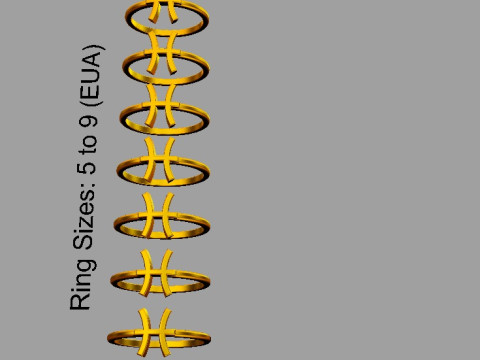 12 Zodiac Rings - Full Set 3D 프린트 모델