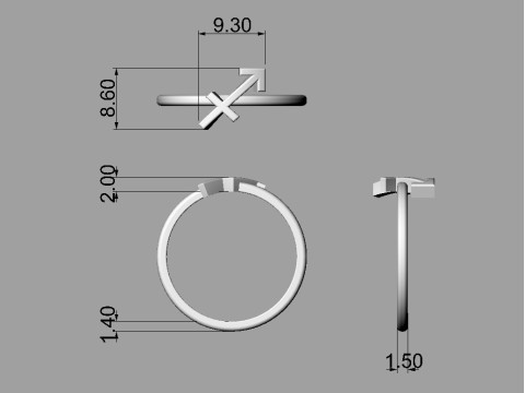 12 Zodiac Rings - Full Set 3D 프린트 모델