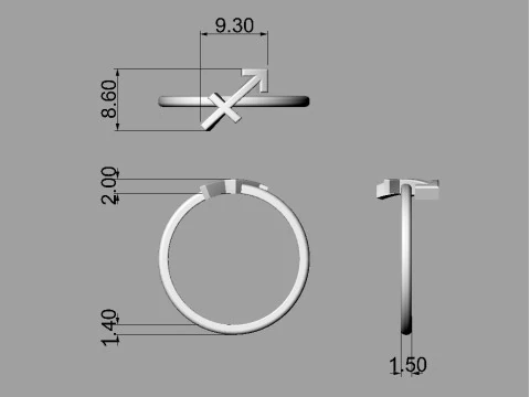 12 Zodiac Rings - Full Set 3D Print Model