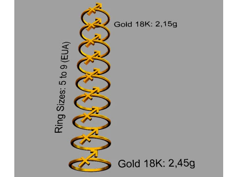 12 Zodiac Rings - Full Set 3D Print Model