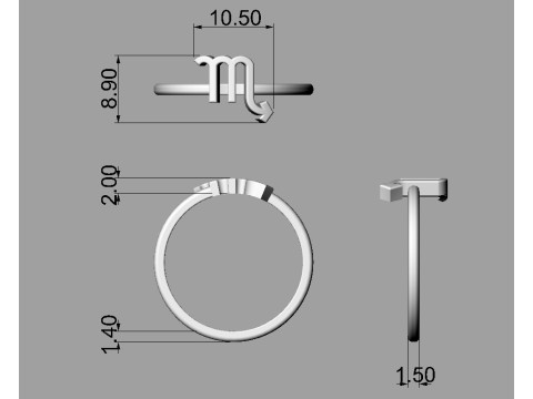 12 Zodiac Rings - Full Set 3D 프린트 모델