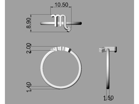 12 Zodiac Rings - Full Set 3D Print Model