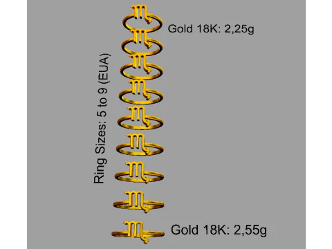 12 Zodiac Rings - Full Set 3D Print Model