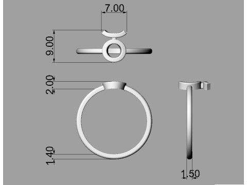 12 Zodiac Rings - Full Set 3D 프린트 모델