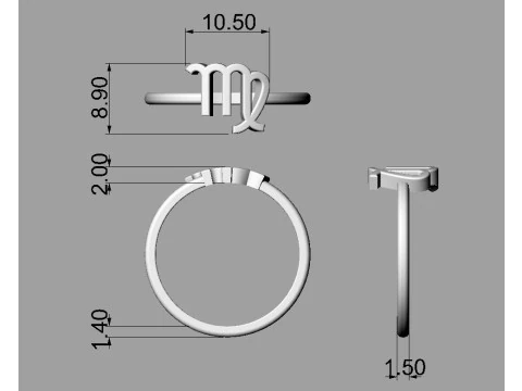 12 Zodiac Rings - Full Set 3D Print Model