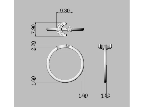 Moon and Star Ring 3D Print Model