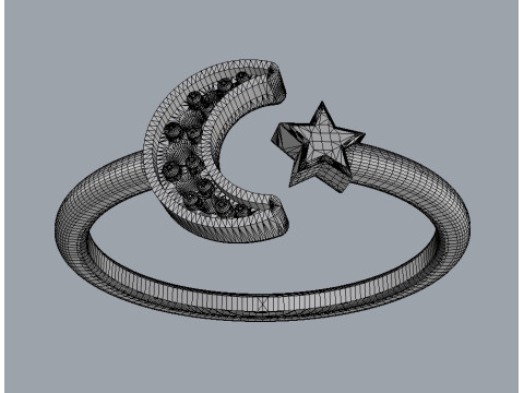 Moon and Star Ring Modello di stampa 3D