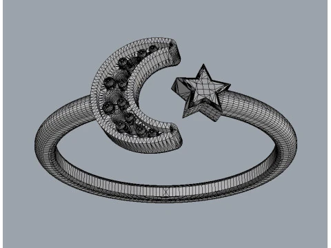 Moon and Star Ring 3D Print Model