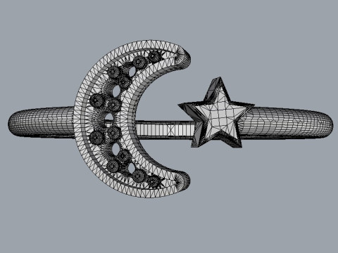 Moon and Star Ring Modello di stampa 3D