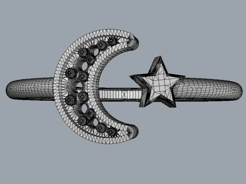 Moon and Star Ring 3D Print Model