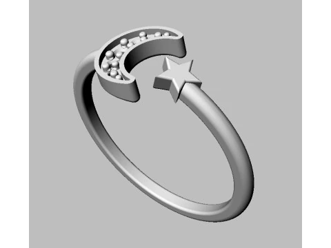 Moon and Star Ring 3D Print Model