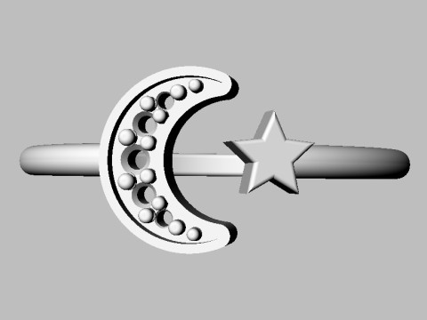 Moon and Star Ring Modello di stampa 3D