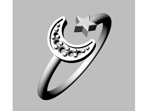 Moon and Star Ring 3D Print Model