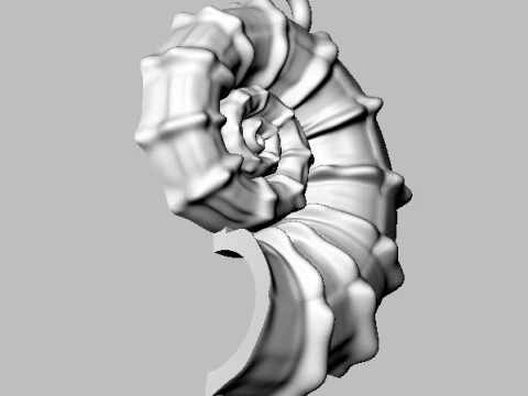 Shell Pendant 3D Print Model