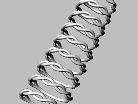 Braided Ring Modello di stampa 3D