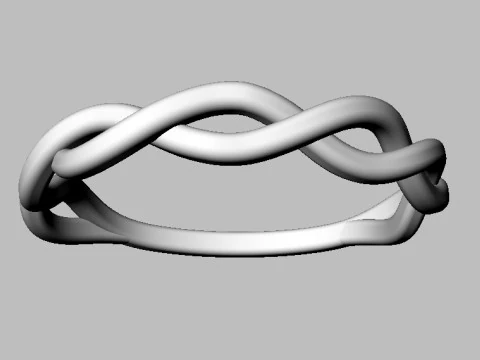 Braided Ring 3D Print Model