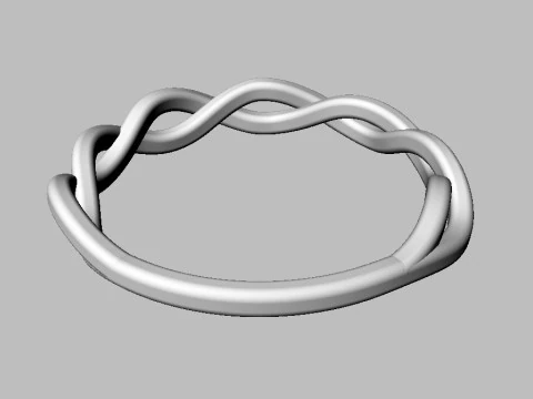 Braided Ring 3D Print Model
