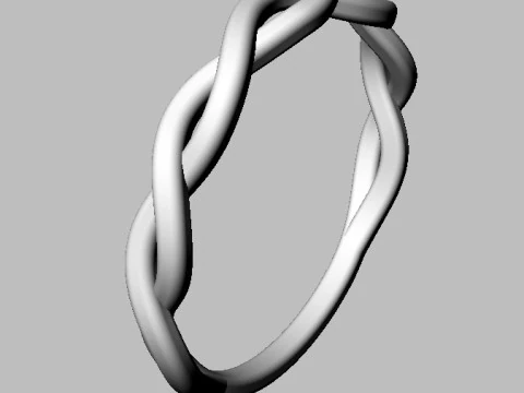 Braided Ring 3D Print Model