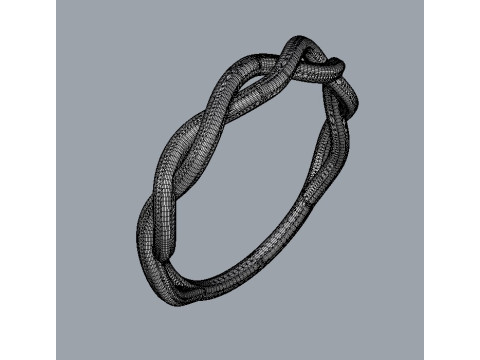 Braided Ring Modello di stampa 3D