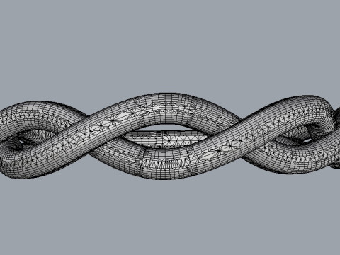 Braided Ring Modello di stampa 3D