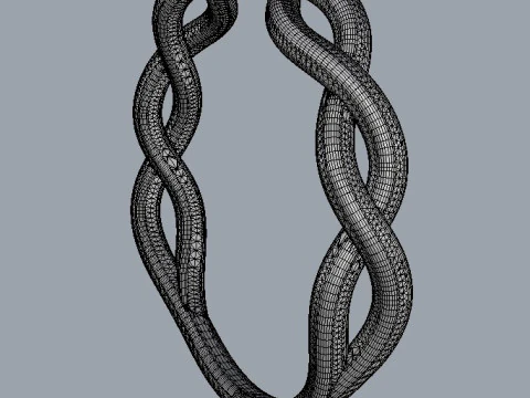 Braided Ring 3D Print Model