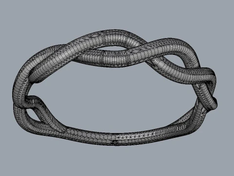 Braided Ring 3D Print Model