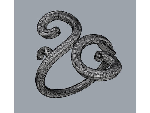 Arabesque Ring Modello di stampa 3D