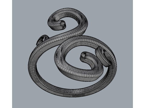 Arabesque Ring Modello di stampa 3D