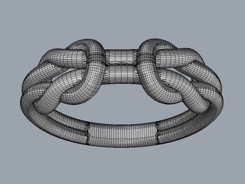 Knot Ring 3D Print Model