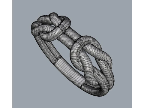 Knot Ring 3D Print Model