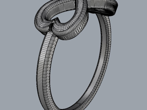 Infinity Love Ring 3D 打印模型