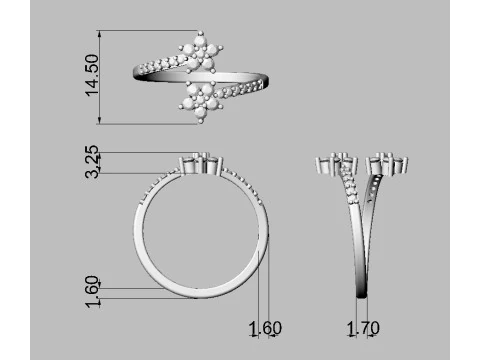 Flower Gemstone Open Ring 3D Print Model