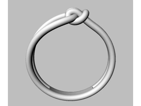 Knot Ring 3D Print Model