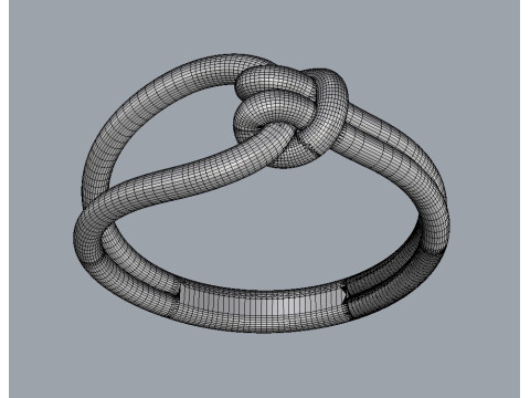 Knot Ring 3D Print Model