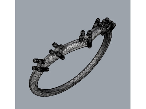 Diamond Ring Modello di stampa 3D