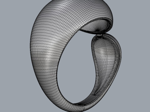 Bold Asymmetric Ring Modèles 3D en vedette
