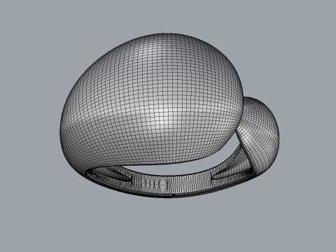 Bold Asymmetric Ring Modèles 3D en vedette