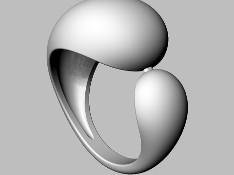 Bold Asymmetric Ring Modèles 3D en vedette