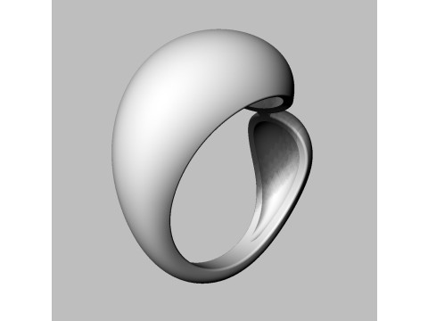 Bold Asymmetric Ring Modèles 3D en vedette