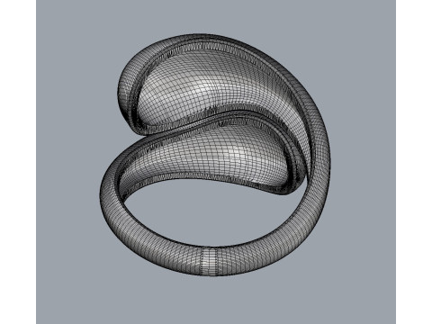 Bold Symmetrical Ring 3D Baskı Modeli