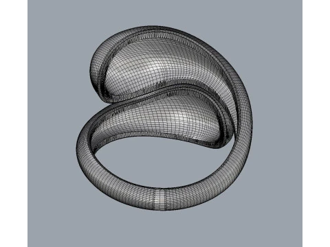 Anel Sim&eacute;trico Ousado Modelo de Impressão 3D