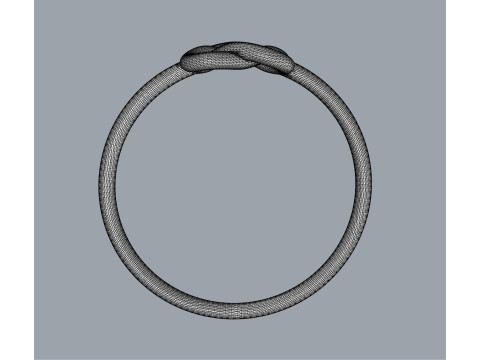 Celtic Knot Ring 3Dプリントモデル