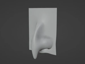 Стилізована носова пачка 3D Модель