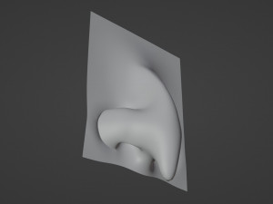 Stylized Nose pack 3D 모델