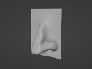 Stylized Nose pack 3D 모델
