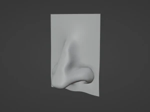 Stylized Nose pack 3D Model