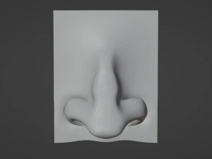 Stylized Nose pack 3D Model