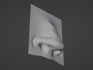 Stylized Nose pack 3D 모델